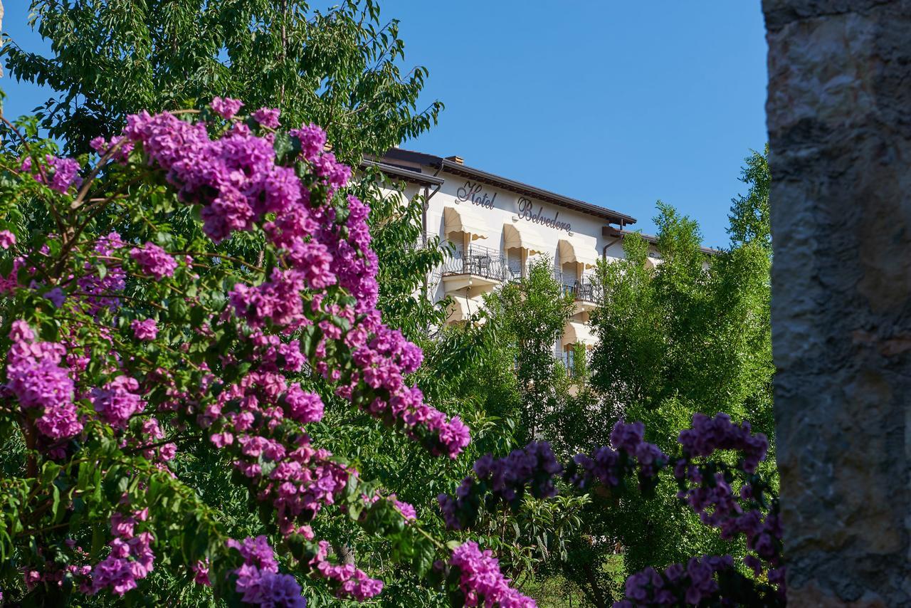 Hotel Belvedere Torri Del Benaco Eksteriør bilde